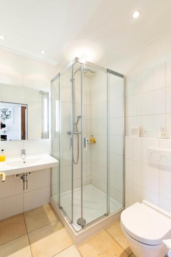 a bathroom with a shower and a toilet and a sink at Gut Altona in Dötlingen