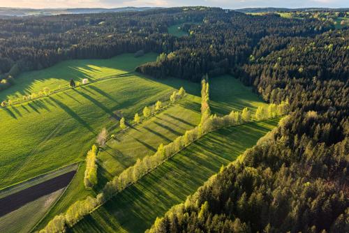 an aerial view of a green field with trees at Jasenka rekreační středisko Zubří in Nové Město na Moravě