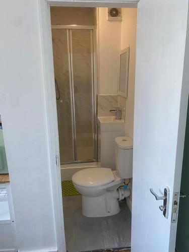 a bathroom with a toilet and a shower at Accommodation HUB Studio 2 in London