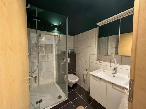 La salle de bains est pourvue d'une douche, d'un lavabo et de toilettes. dans l'établissement Traumwohnung - Charmante Citywohnung nahe Hauptbahnhof, à Coblence