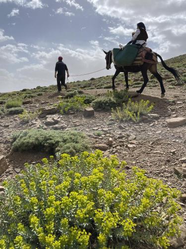a man riding a horse with a man walking behind at Touda Ecolodge Atlas Mountains in Zawyat Oulmzi