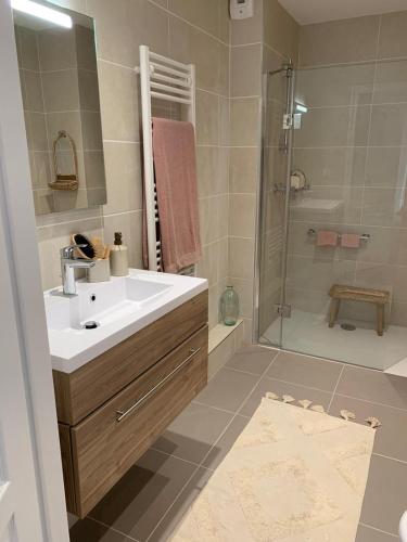 une salle de bain avec un lavabo et une douche dans l'établissement RESIDENCE MONTANA, à Cholet