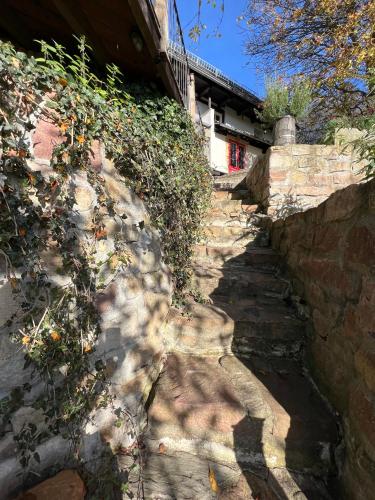 a stone path next to a stone wall at Dom po schodkach in Wleń