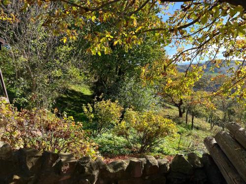 a garden with trees and a stone wall at Dom po schodkach in Wleń