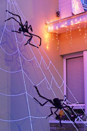 a sculpture of a lizard on a wall with lights at Potter's Place by Ardenne Places in Theux