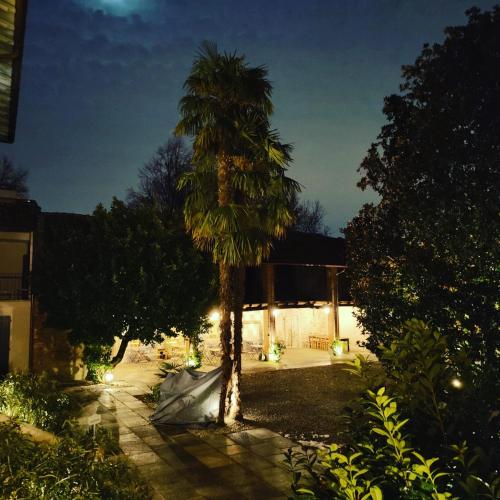 a palm tree in front of a house with lights at Dandelion Como Suites & Park in Villa Guardia