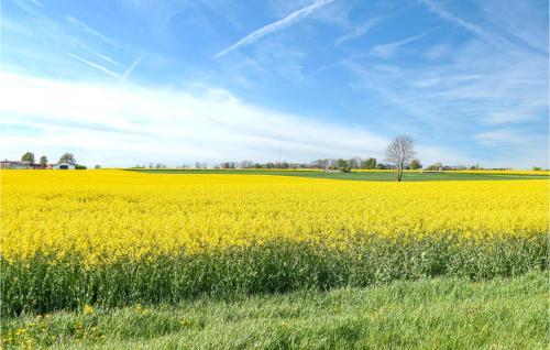 a yellow rapeseed field with a blue sky at Stunning Home In Skillinge With Wifi in Skillinge