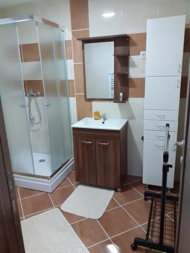 a bathroom with a shower and a sink at Stan na dan VRŠAC in Vršac