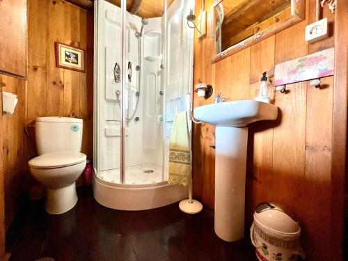 a bathroom with a shower and a toilet and a sink at Casa con 2 dormitorios, chimenea, jardin y vista a la montaña in Campomanes