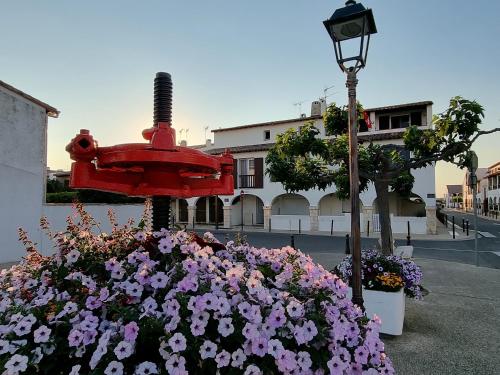 a bunch of flowers next to a street light and a fire hydrant at Le Tau in Saintes-Maries-de-la-Mer