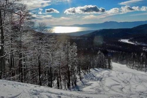 a view of a snow covered mountain with trees at Apartman David-Dražice in Dražice
