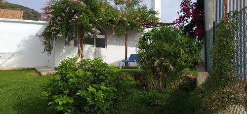Jardín al aire libre en Rancho Blanco Tarifa