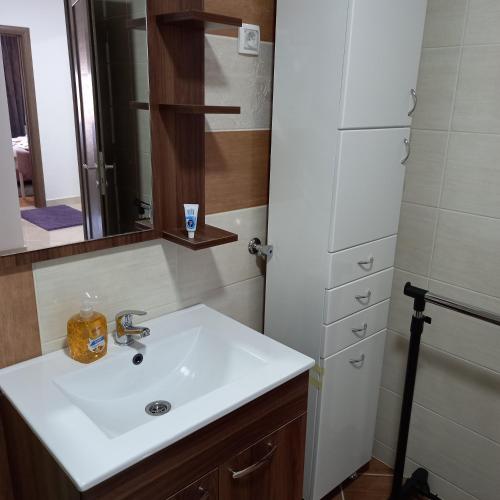 ein Bad mit einem Waschbecken und einem Spiegel in der Unterkunft Stan na dan VRŠAC in Vršac