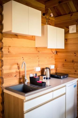 a kitchen with a sink and wooden walls at Leśna Osada przy Suntago Park in Krzyżówka