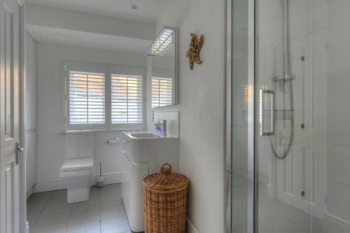 a bathroom with a toilet and a sink and a shower at Starfish in Lyme Regis