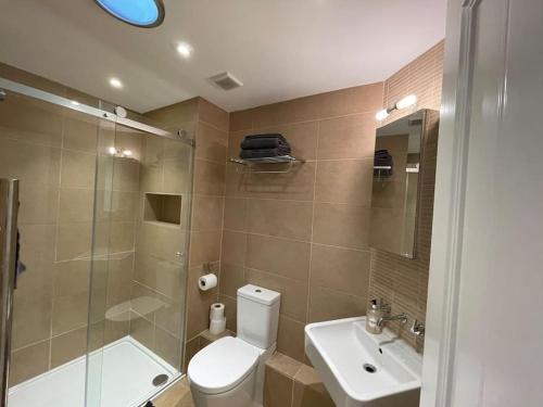 a bathroom with a toilet and a sink and a shower at Fuchsia Cottage in Flushing
