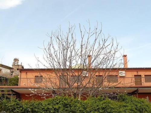 a tree with no leaves in front of a building at Apartamentos en sierra de gata ALMA in Villamiel