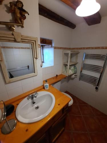 uma casa de banho com um lavatório e um espelho em Cabaña Pasiega La Quemada em San Pedro del Romeral