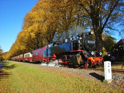 a train is traveling down the tracks at Ostsee Hotel-Pension An der Lindenallee in Bad Doberan