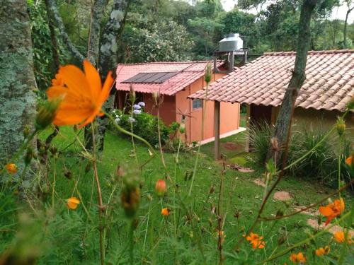Taman di luar Govinda Moeda Pousada