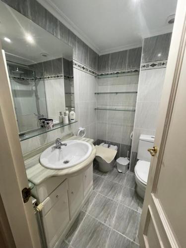 a bathroom with a sink and a toilet at Azaraleku apartamento playa in Zarautz
