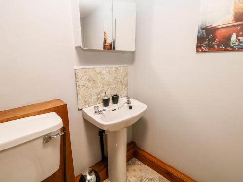 La salle de bains est pourvue d'un lavabo blanc et de toilettes. dans l'établissement Haddon Cottage, à Bakewell