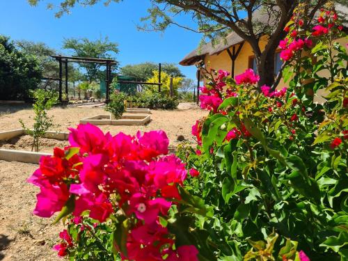 Zahrada ubytování Privathaus mit eigenem Pool - Windhoek