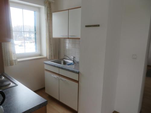 a small kitchen with a sink and a refrigerator at Apartment Deller Renate in Leutschach
