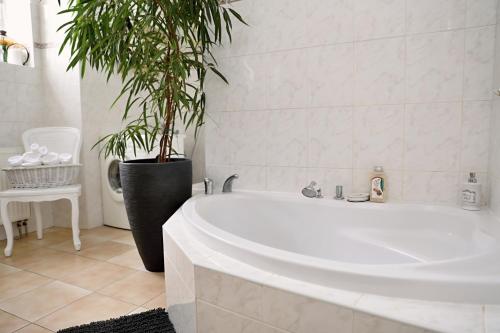 ein Badezimmer mit einer weißen Badewanne und einer Topfpflanze in der Unterkunft Luxusní apartmán s empírovými freskami v centru Čáslavi in Čáslav
