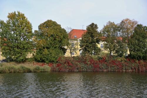 a body of water with trees and houses in the background at Luxusní apartmán s empírovými freskami v centru Čáslavi in Čáslav