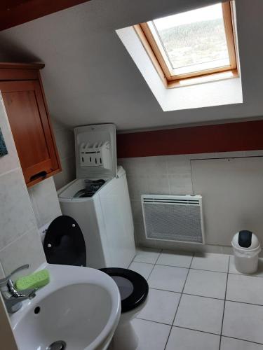 une salle de bain avec toilettes, lavabo et fenêtre dans l'établissement La familia, à Gérardmer