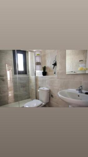 ein Bad mit einem WC und einem Waschbecken in der Unterkunft El Rincón de Agua Amarga 2 in Agua Amarga
