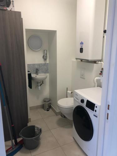 a bathroom with a toilet and a washing machine at Résidence Merlin Appartement Arthur in Saint-Malon-sur-Mel