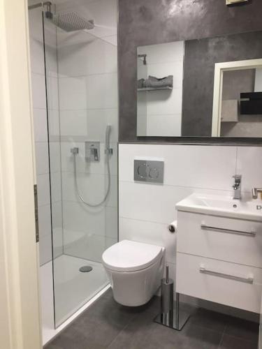 uma casa de banho com um chuveiro, um WC e um lavatório. em Modern eingerichtetes Apartment Nähe Hauptbahnhof em Braunschweig