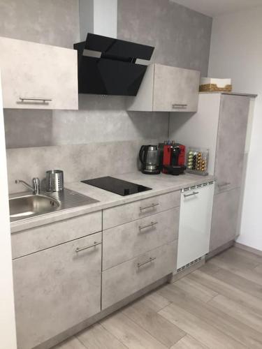 uma cozinha com um lavatório e um fogão forno superior em Modern eingerichtetes Apartment Nähe Hauptbahnhof em Braunschweig