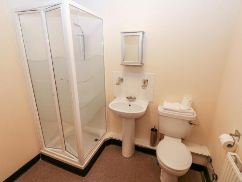 a bathroom with a toilet and a shower and a sink at 15 Sovereign House in Milford Haven