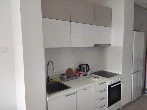 a small kitchen with white cabinets and a sink at Dolce vita 1 in Belgrade