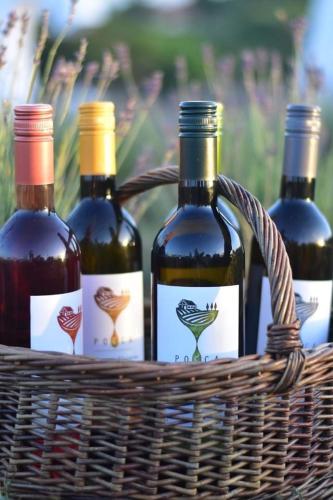 three bottles of wine in a wicker basket at Luxury Apartments in Balatonalmádi, Almádi Lux Apartman II - Crystal White in Balatonalmádi