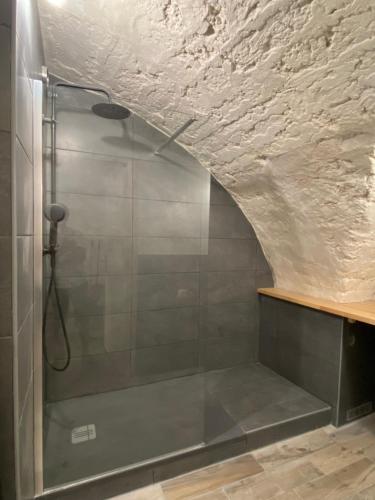 W łazience znajduje się prysznic ze szklanymi drzwiami. w obiekcie Espace Le Cheval Blanc w mieście Castelnau-le-Lez