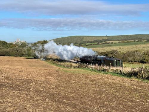 a steam train traveling down the tracks in a field at Elm Villa in Wareham