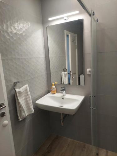 a bathroom with a sink and a shower with a mirror at Dolce vita 1 in Belgrade