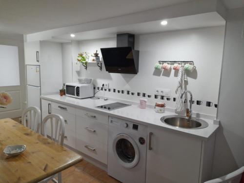 uma cozinha com um lavatório e uma máquina de lavar roupa em Alojamiento Casa Piano em Mairena del Aljarafe