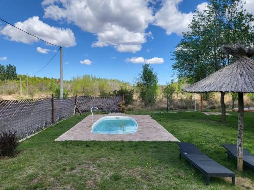 Flia Tkacz – Photos 3
