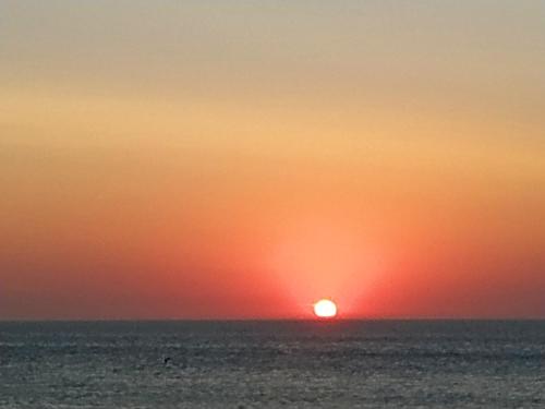 Photo de la galerie de l'établissement Chez Anne, à Fécamp