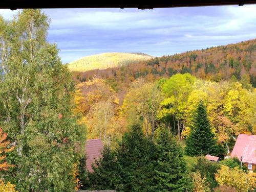 a view of a forest of trees with a house at Koralowa Ścieżka in Jelenia Góra-Jagniątków