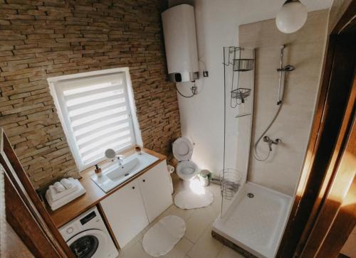 a small bathroom with a sink and a shower at Honey home in Bistriţa