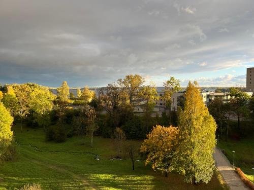 a view of a park with trees and buildings at Aizkraukle Penthouse apartment in Aizkraukle