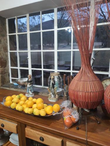 a bowl of fruit on a table with a vase at Mzila Forest Creek in Maanhaarrand