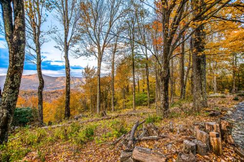 Big Bear Lodge – Photos 2