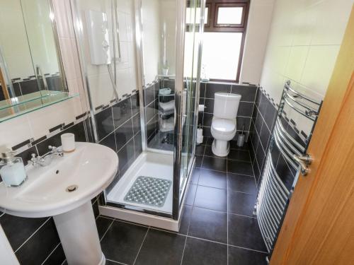 a bathroom with a toilet and a sink and a shower at Aras Iosgan in Carraroe